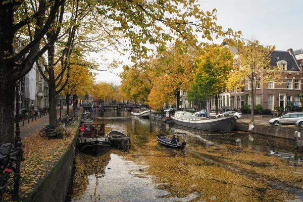 Travel in autumn in amsterdam