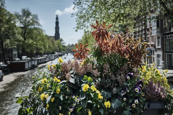 best time to travel to amsterdam